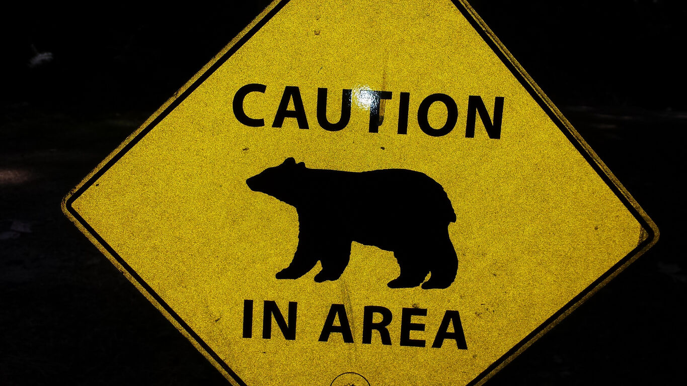 Aggressive bear forces campers to defend themselves throughout entire night in Arkansas
