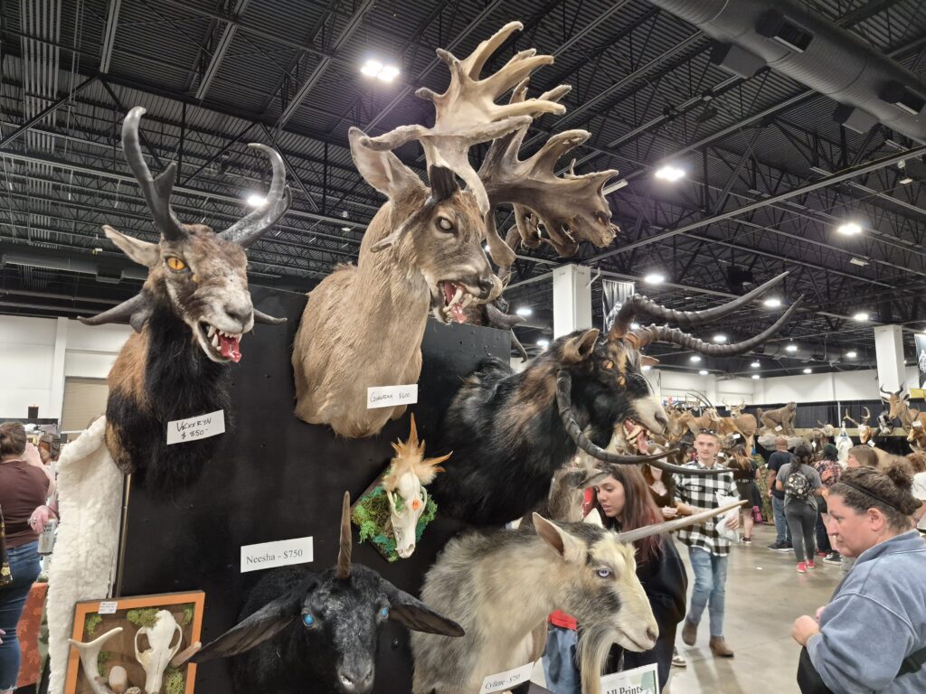 Oddities and Curiosities expo 6