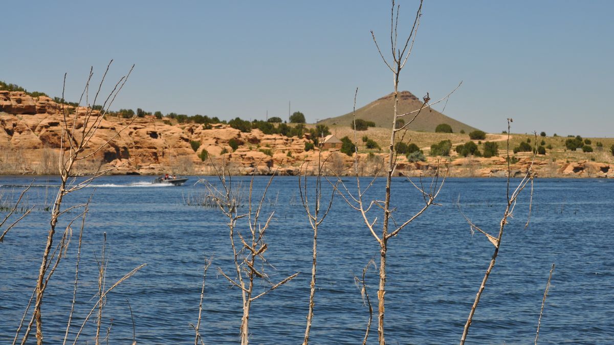 Emergency fish salvage underway at Colorado reservoir amid dry conditions and incoming cold weather