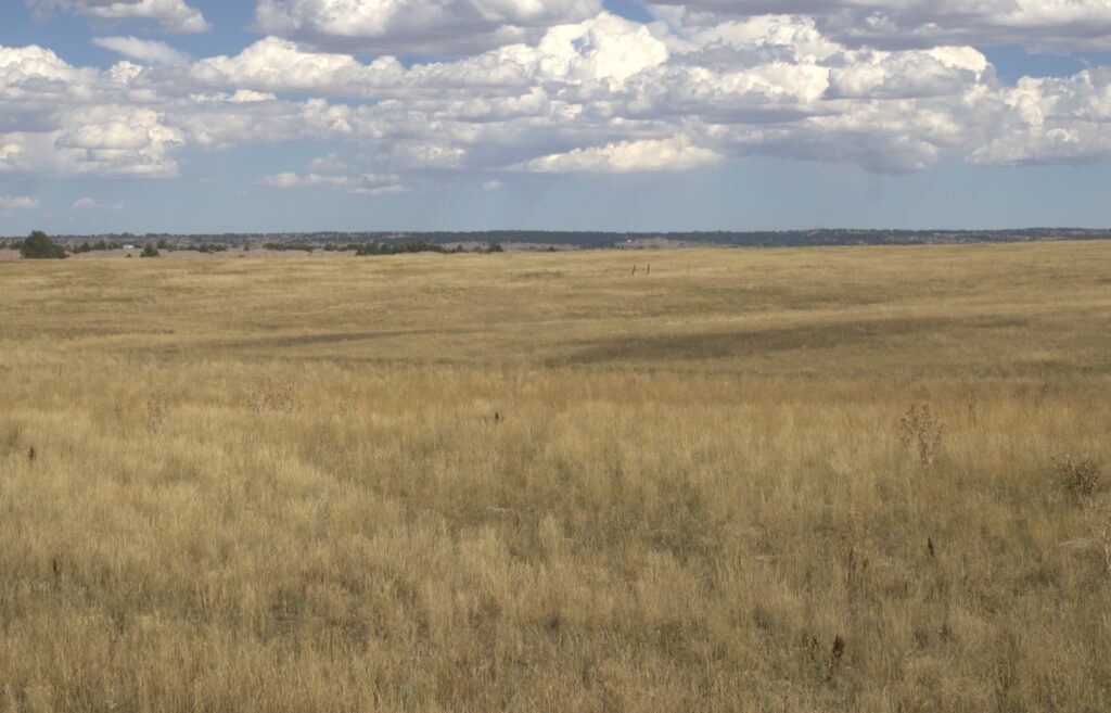 Lone Tree City Center Land