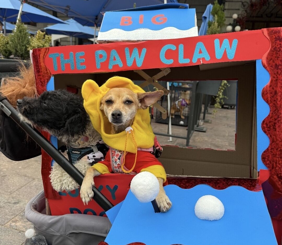 Denver’s Union Station hosts ‘Howl-o-ween’ pet costume parade