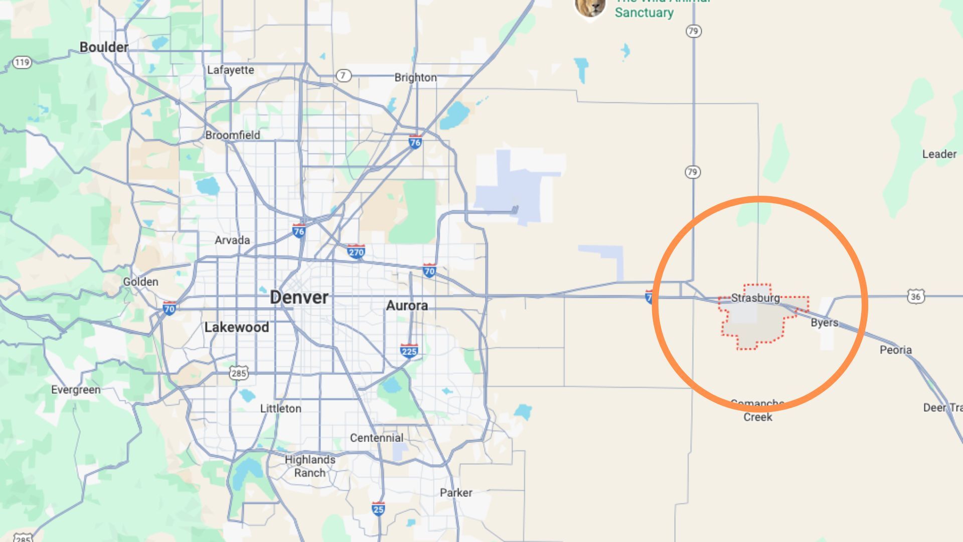 33 dogs rescued from home “filled with feces” in Colorado