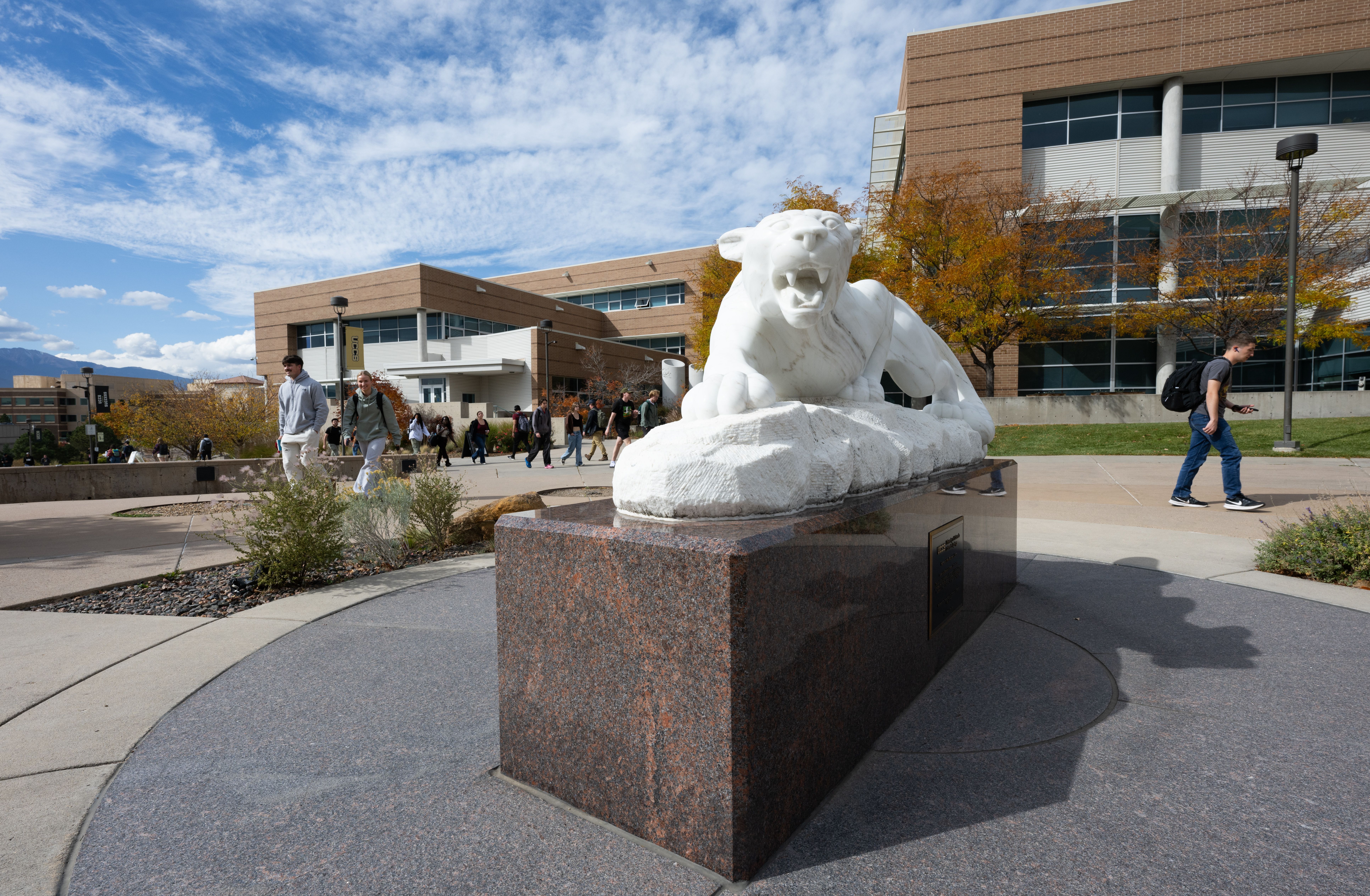CU workers organizing to demand collective bargaining