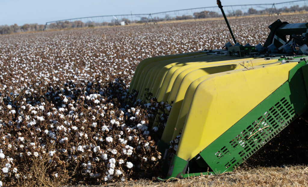 Cotton harvester in a Bent County field