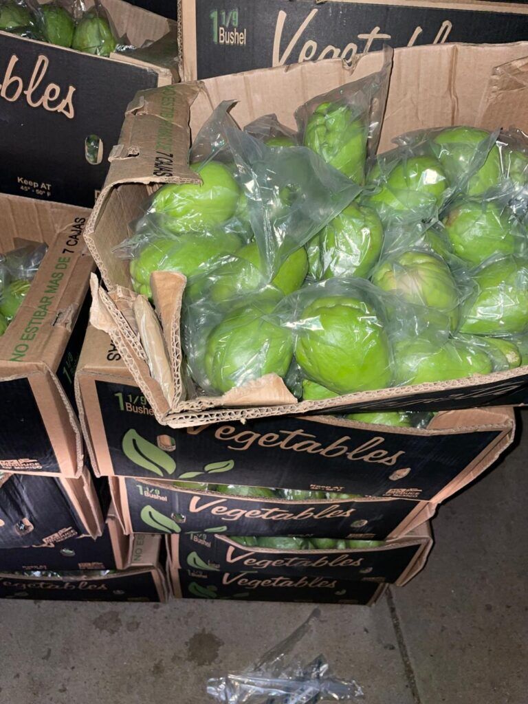 A box full of large, green fruits each wrapped in a plastic bag