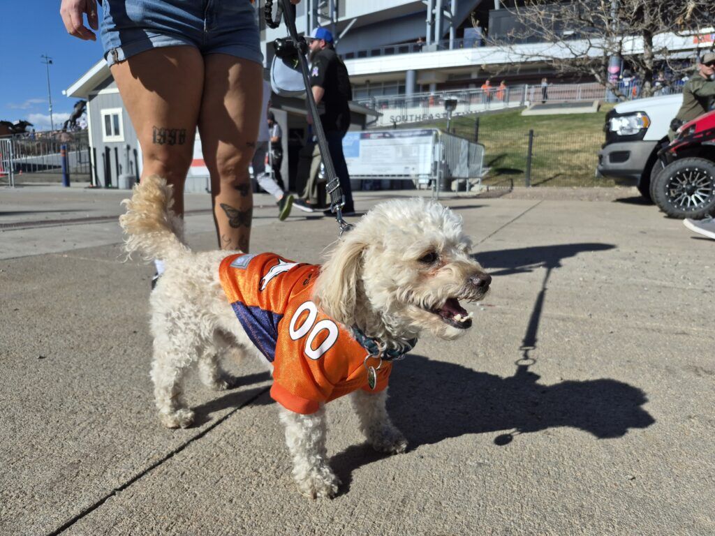 Chiefs/Broncos Tailgate 3