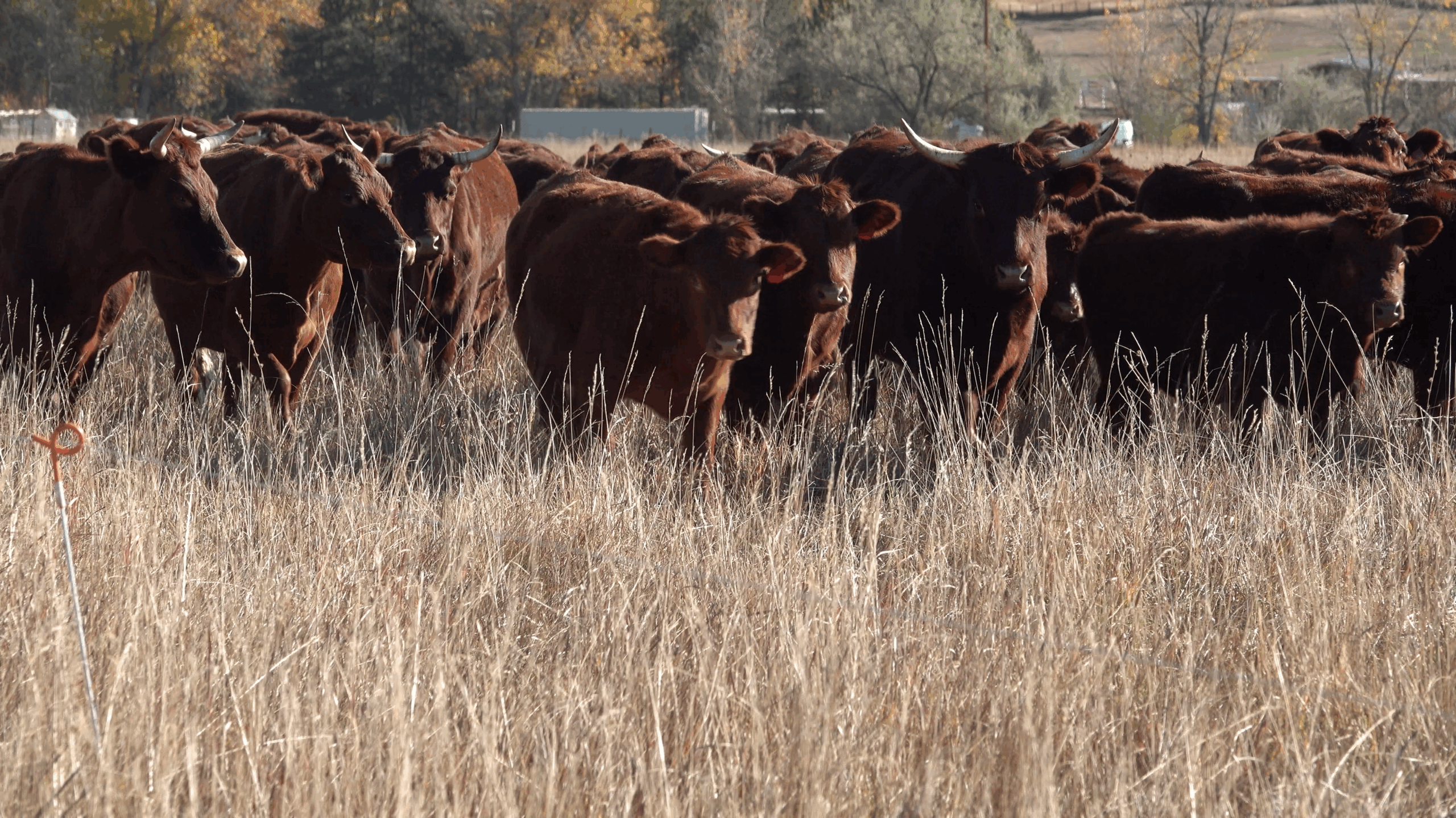Fort Collins as one of USDA’s regional hubs: ‘It began to make sense’