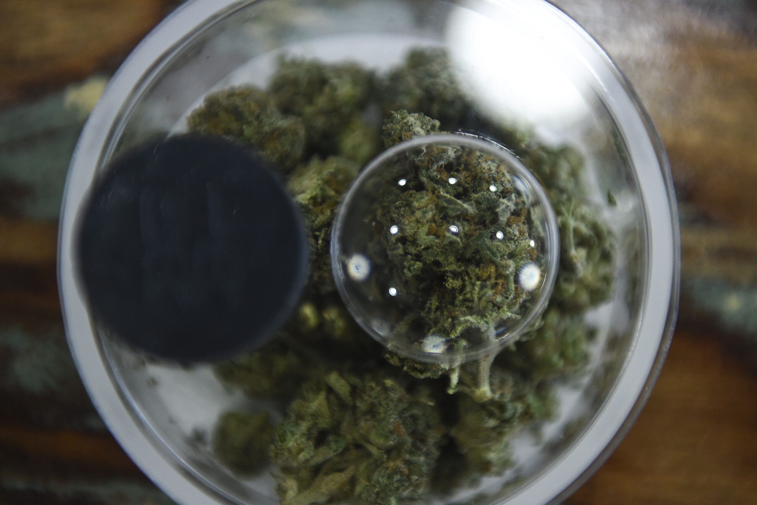 Marijuana sits in a sample container at Emerald Fields, Manitou Springs' second and final recreational marijuana shop, which opened on Manitou Avenue Wednesday, April 1, 2015.
Michael Ciaglo, The Gazette