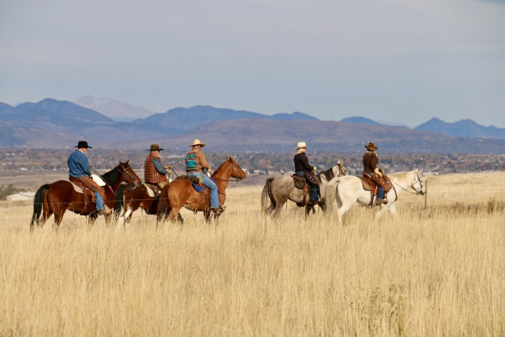 Sterling Ranch Cattle Drive 7