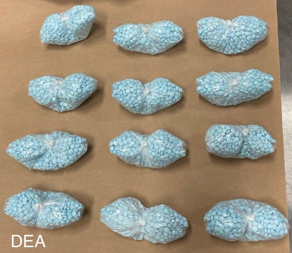 Twelve bundles of blue pills lay on a cardboard background