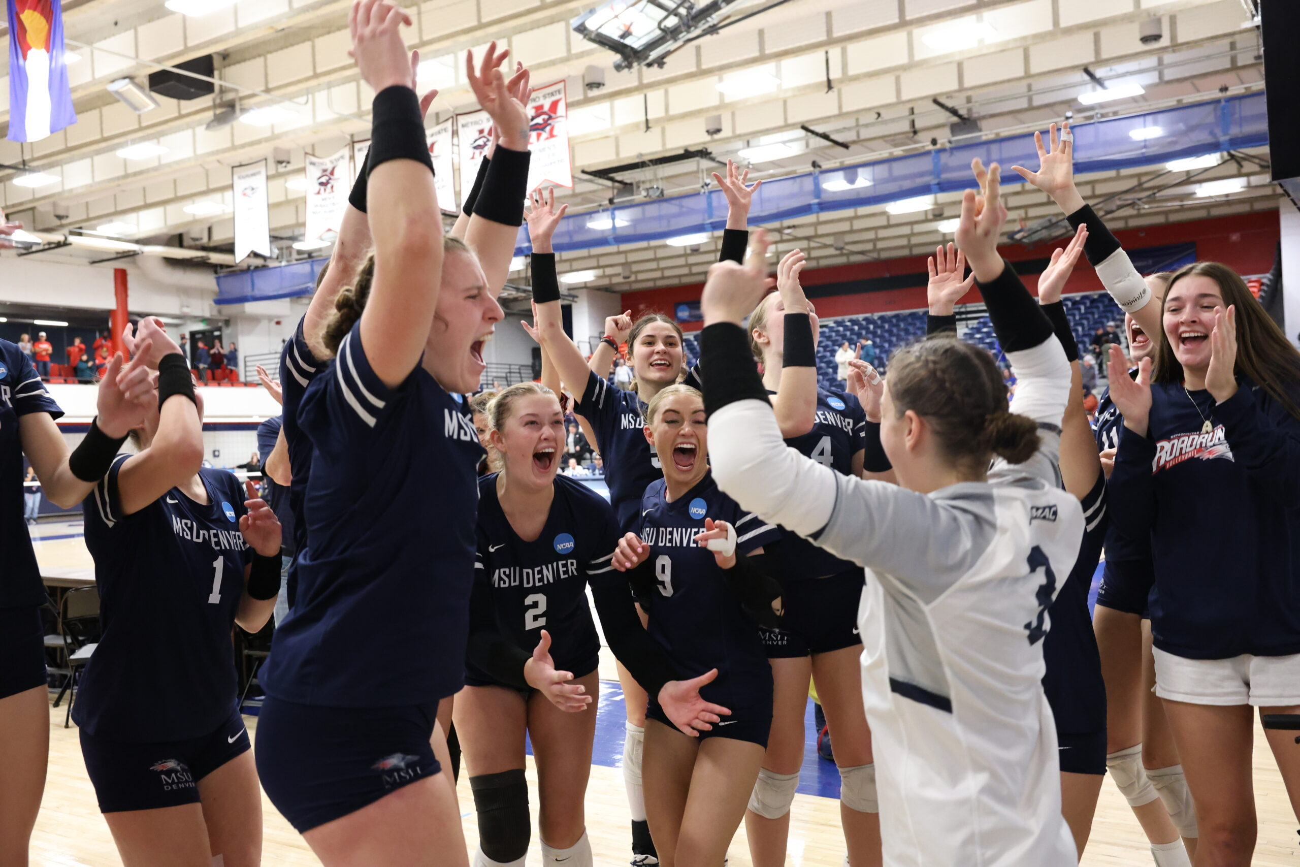 MSU Denver volleyball prepares for biggest match in program history in NCAA Elite Eight | Colorado Sunshine