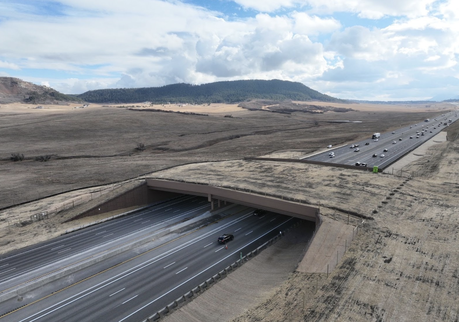 North America’s largest wildlife overpass opens between Denver, Colorado Springs