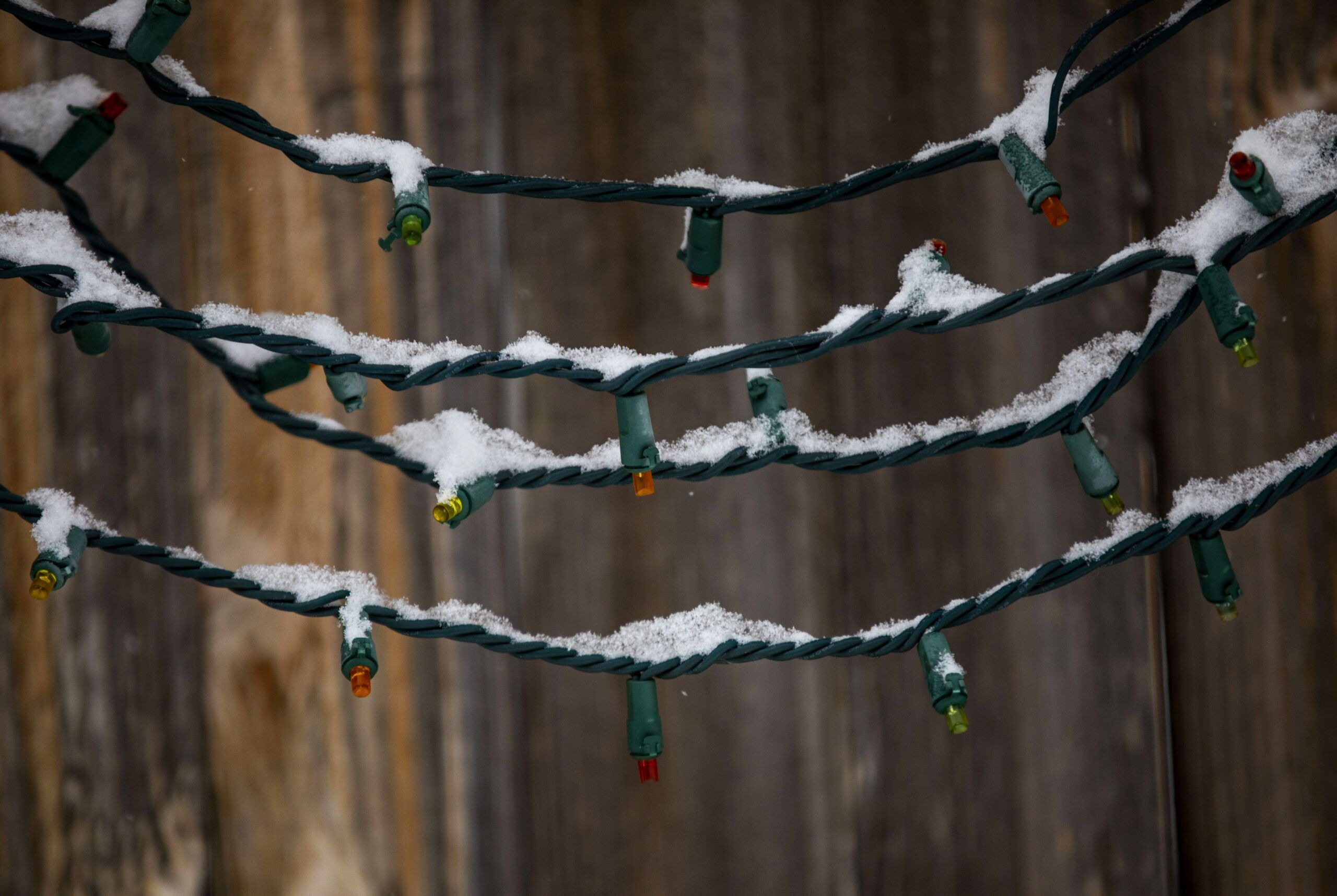 News Nuggets: Holiday light recycling, ugly sweater run