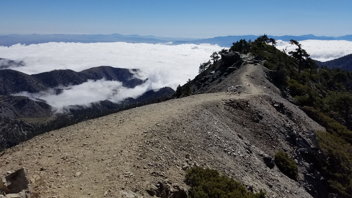 Search for missing hiker results in discovery of 3 bodies in California
