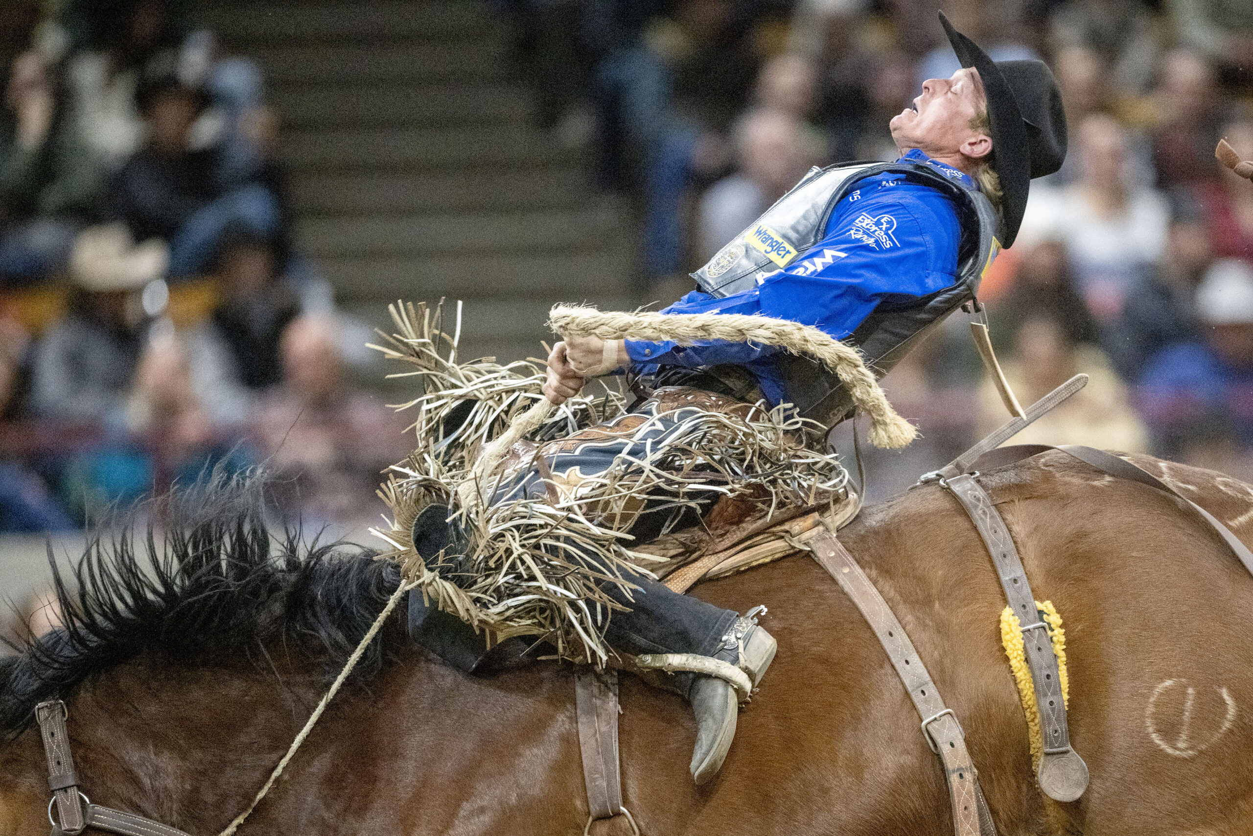 National Western Stock Show breaks attendance record