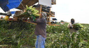Overtime for farms, school safety, public office rules: What’s new in Colorado law