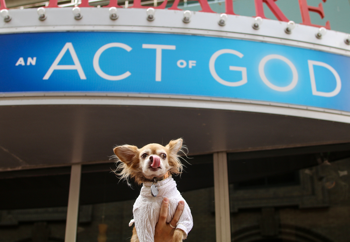 Titus is hoisted in front of the Garer-Galleria Theatre in 2017. (JOHN MOORE/DENVER GAZETTE)