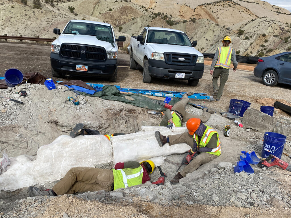 Utah Conservation Corp working to excavate fossils from a tight space at Dinosaur National Monument. Photo courtesy National Park Service/ReBecca Hunt-Foster