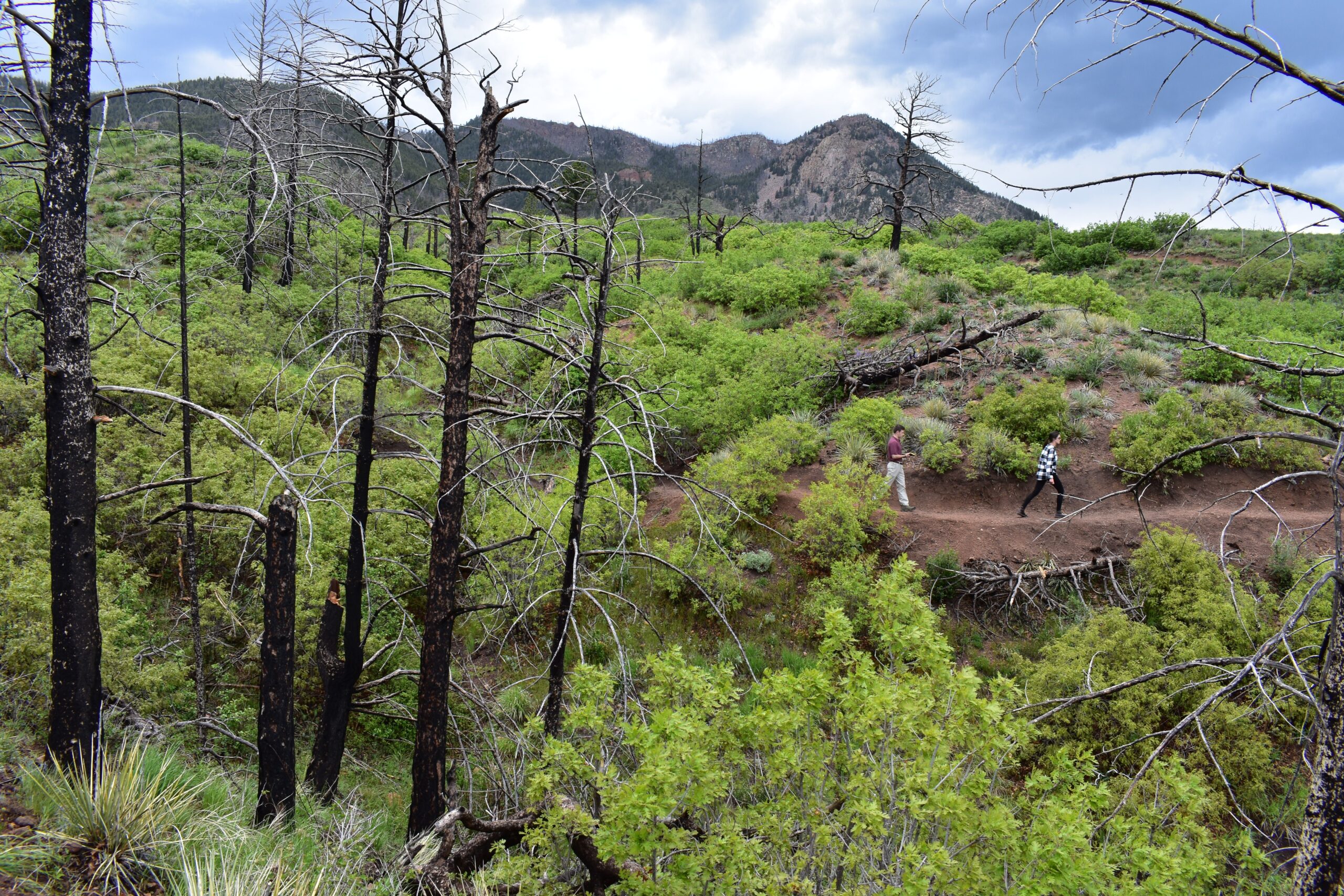 Hikers along the trail in the southern portion of Blodgett Open Space in Colorado Springs. Photo courtesy City of Colorado Springs