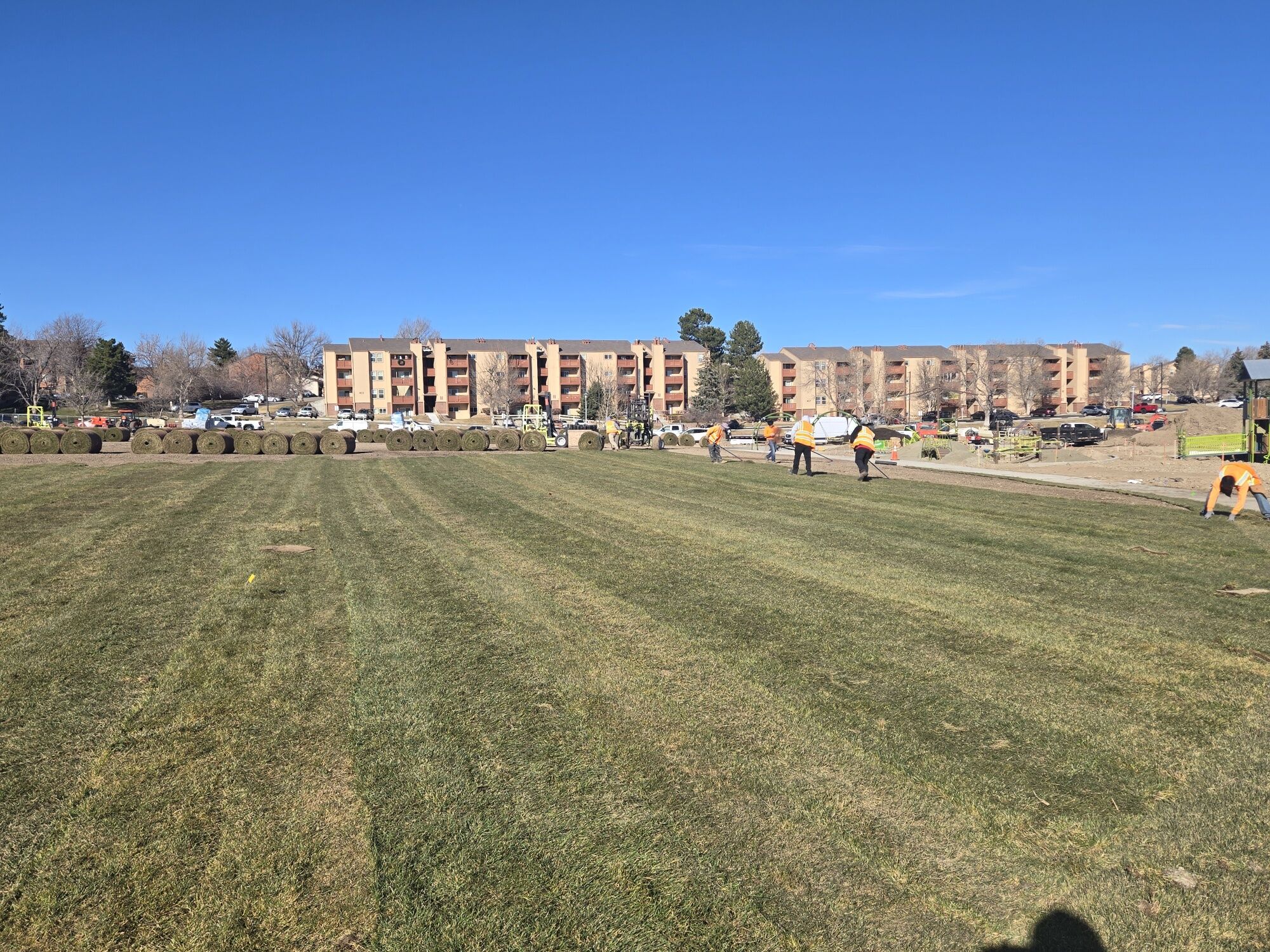 Lakewood looking for board and commission applicants