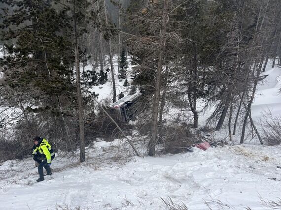 A photo of a silver van on its side in some trees