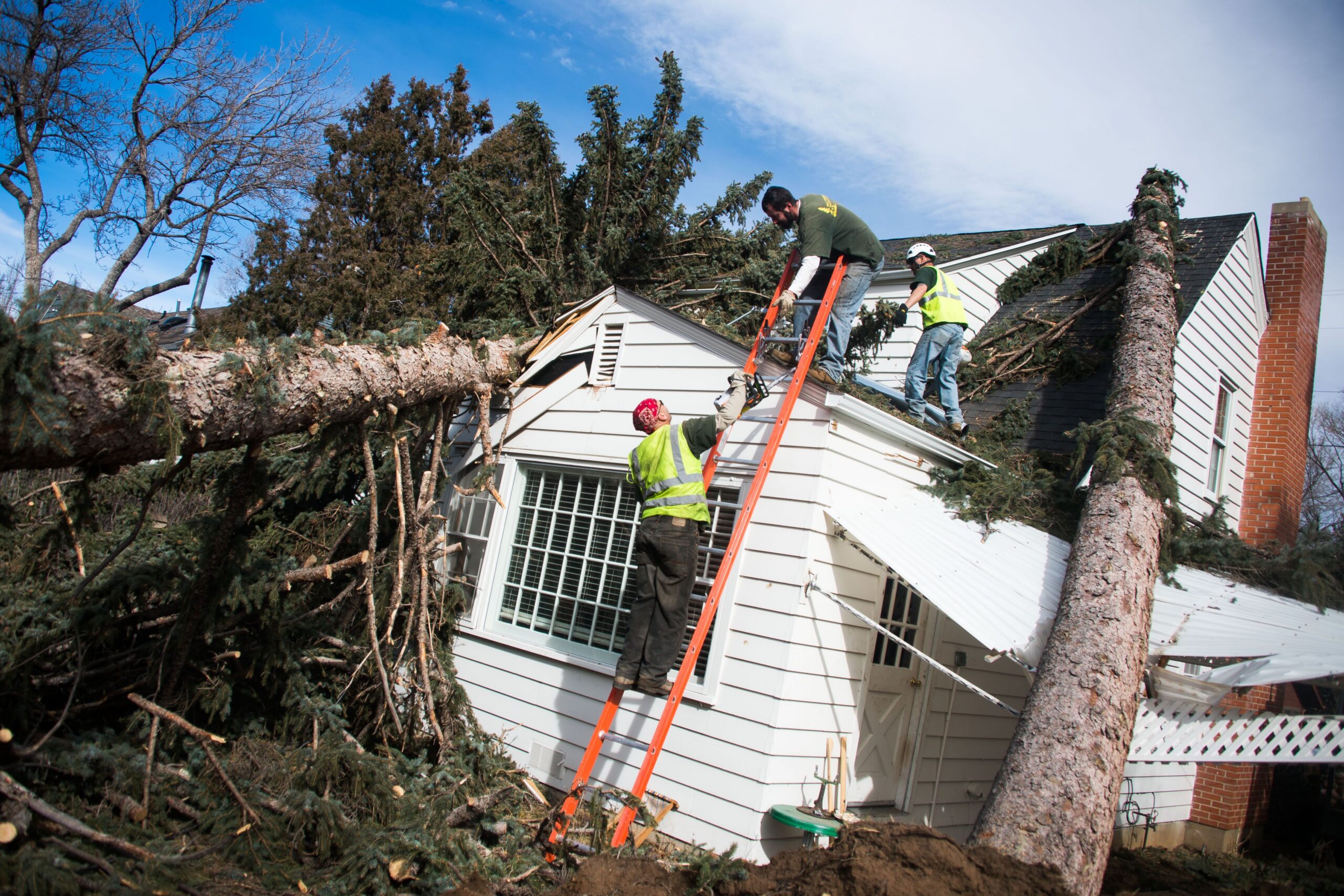 Workers from the Tall Timbers Tree & Shrubs Service clear out the debris after wind swept through the area causing several trees to topple over and power lines near the house to be knocked down