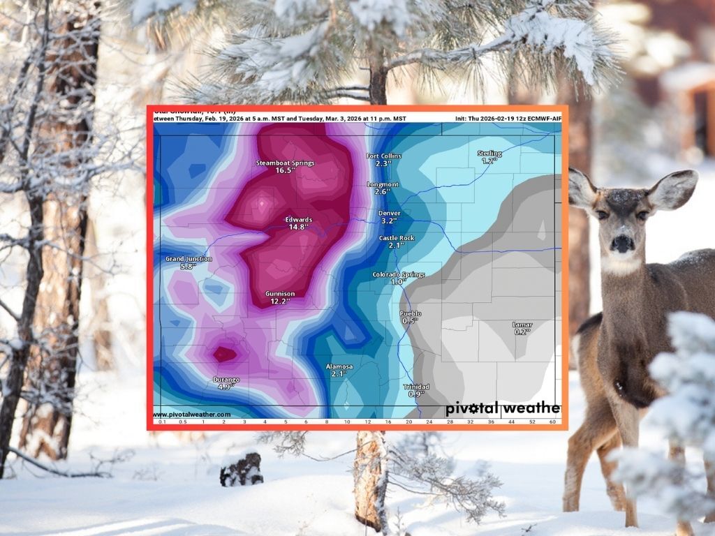 Another big wave of snow possible following the 30″ that hit some Colorado peaks this week