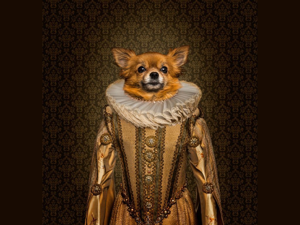 Here’s a chance for your dog to perform in ‘Shakespeare in Love’ on a Colorado stage