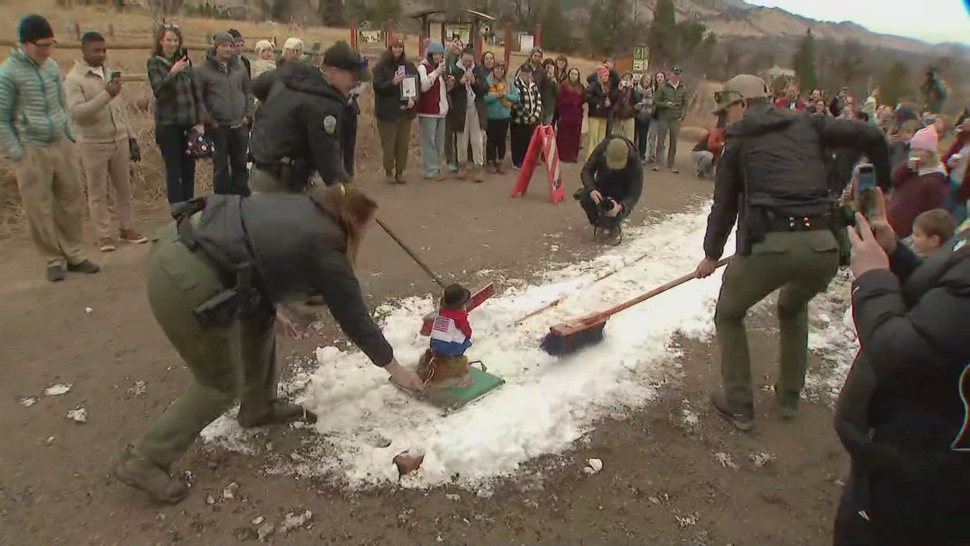 Flatiron Freddy makes his Groundhog Day prediction in Colorado