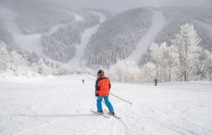 How many skiers visited Western U.S. resorts in this low snow year? The  numbers aren’t great.