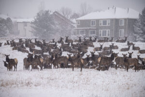 Colorado snow totals from Sunday, March 15, 2026 storm