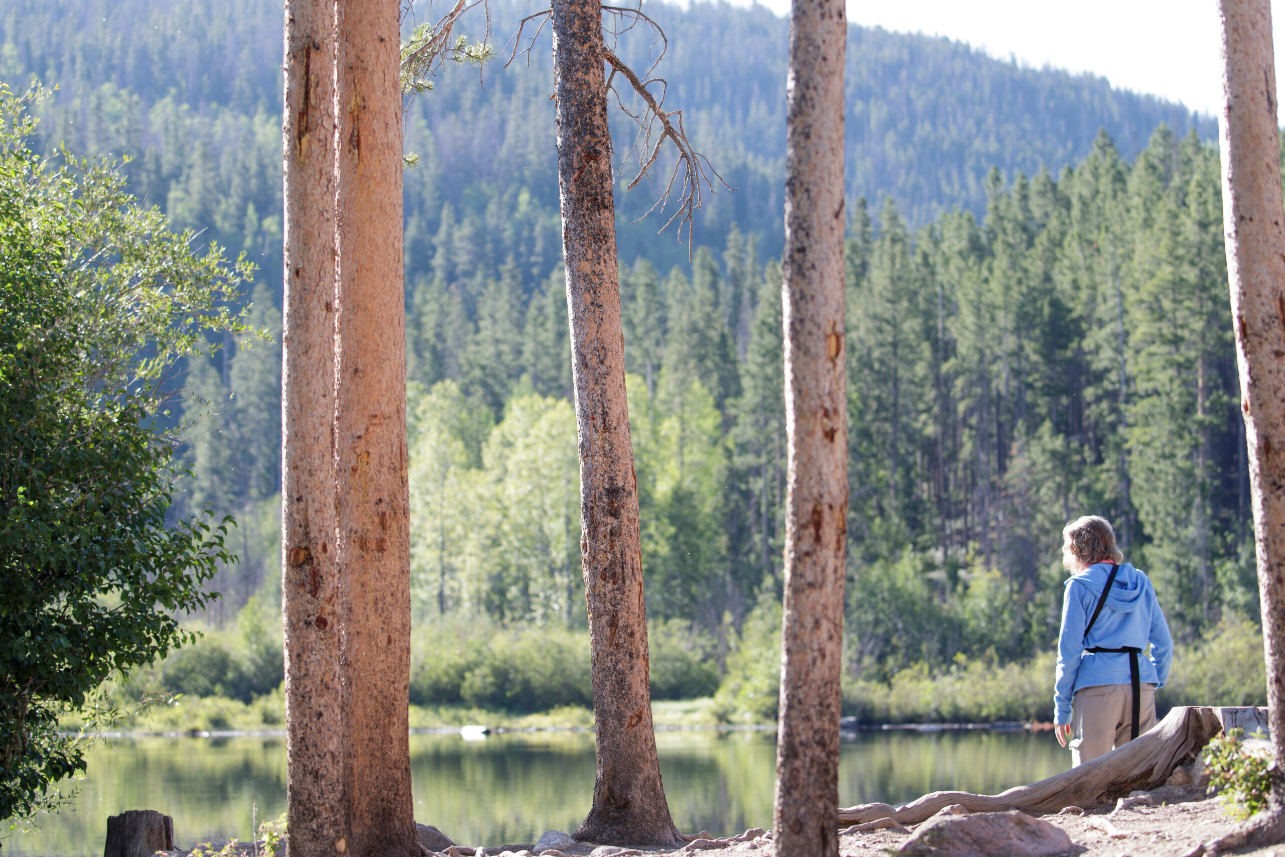 Major fire mitigation, trail work coming to popular ‘Backyard’ area of Colorado