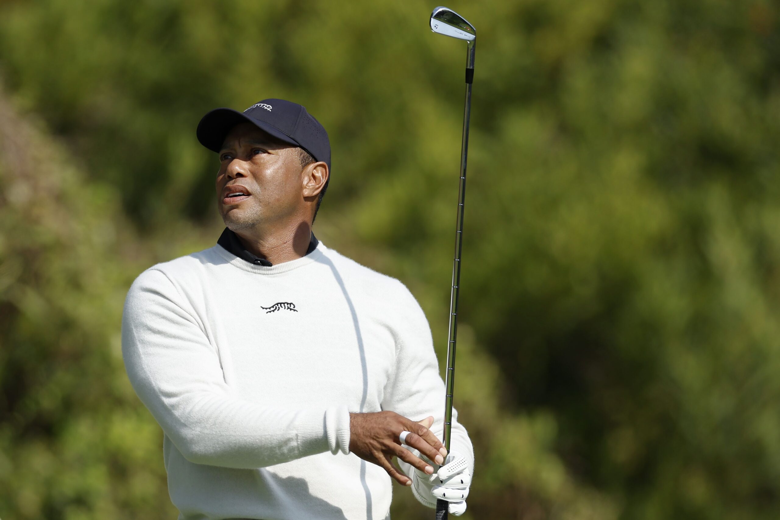 Tiger Woods arrested at crash scene on suspicion of DUI, sheriff says