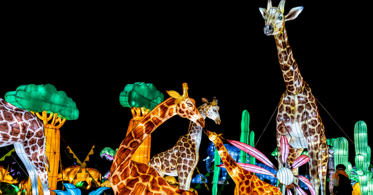 Weekend things to do around Denver: Colorado Cat Fest and more