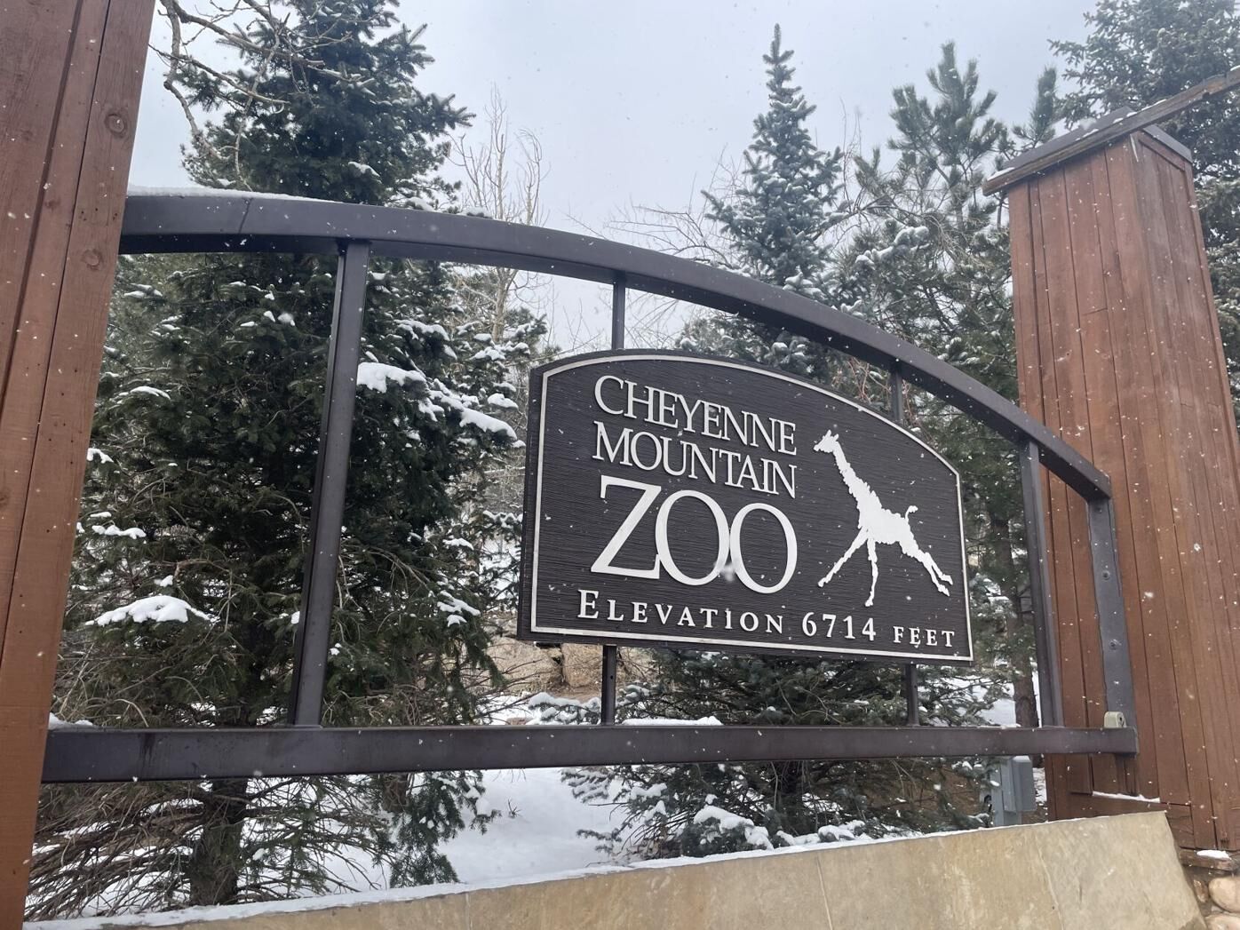 “Redefining wildlife experiences”: 2 Colorado zoo exhibits make list of best in US