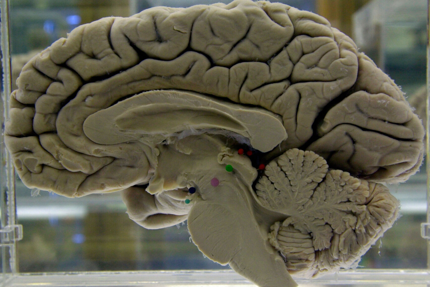 Challenging your brain helps keep it healthy. Here’s how to do it