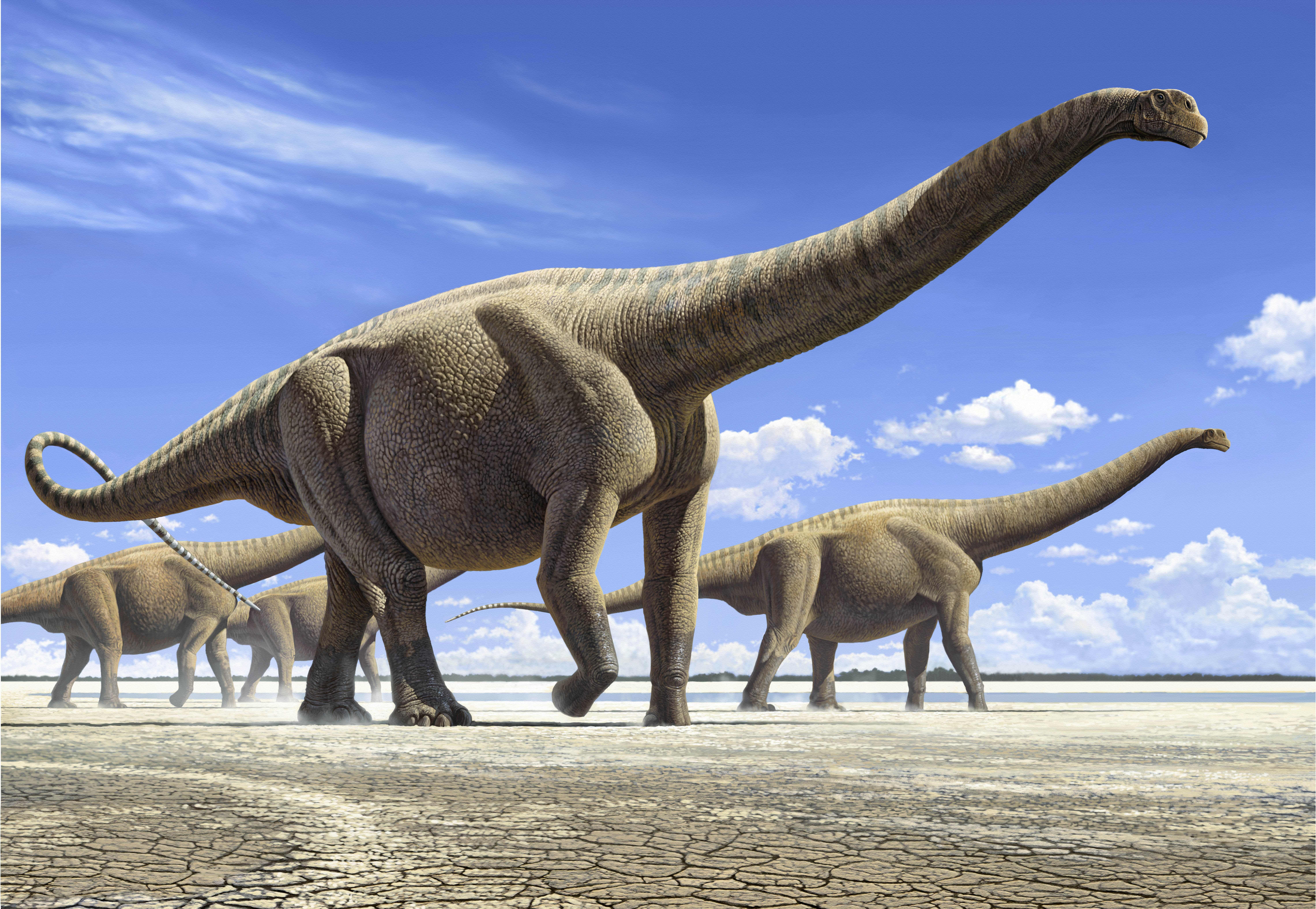 ‘World’s Largest Dinosaurs’ exhibit brings ancient giants to Denver