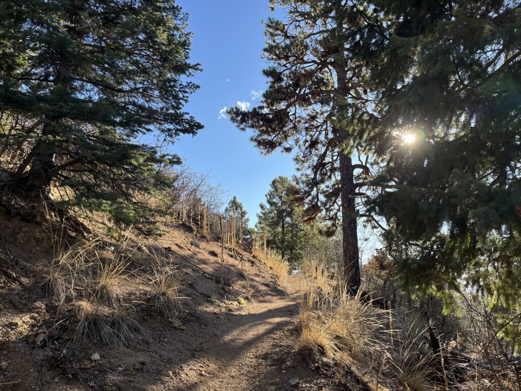 Dixon Trail at Cheyenne Mountain State Park. Seth Boster, The Gazette