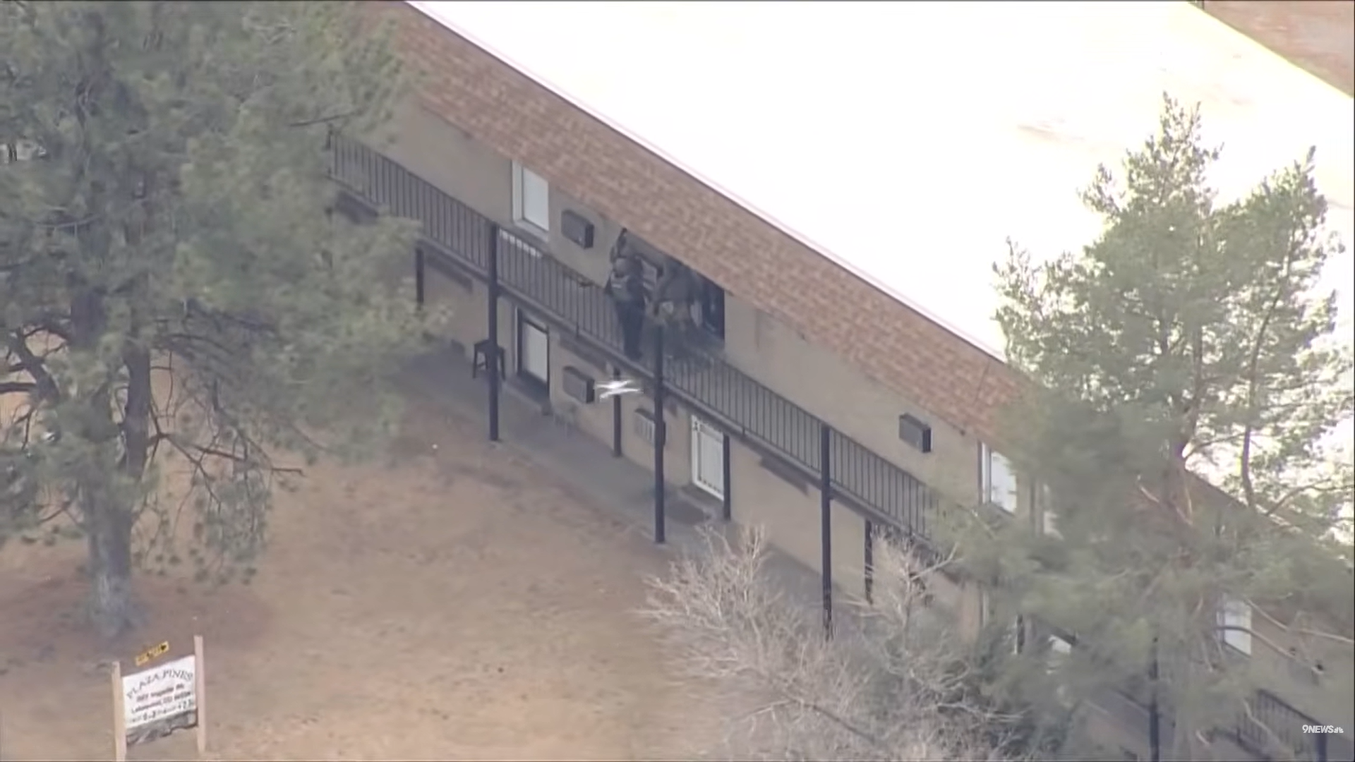 ICE agent injured after suspect hits vehicle in Lakewood