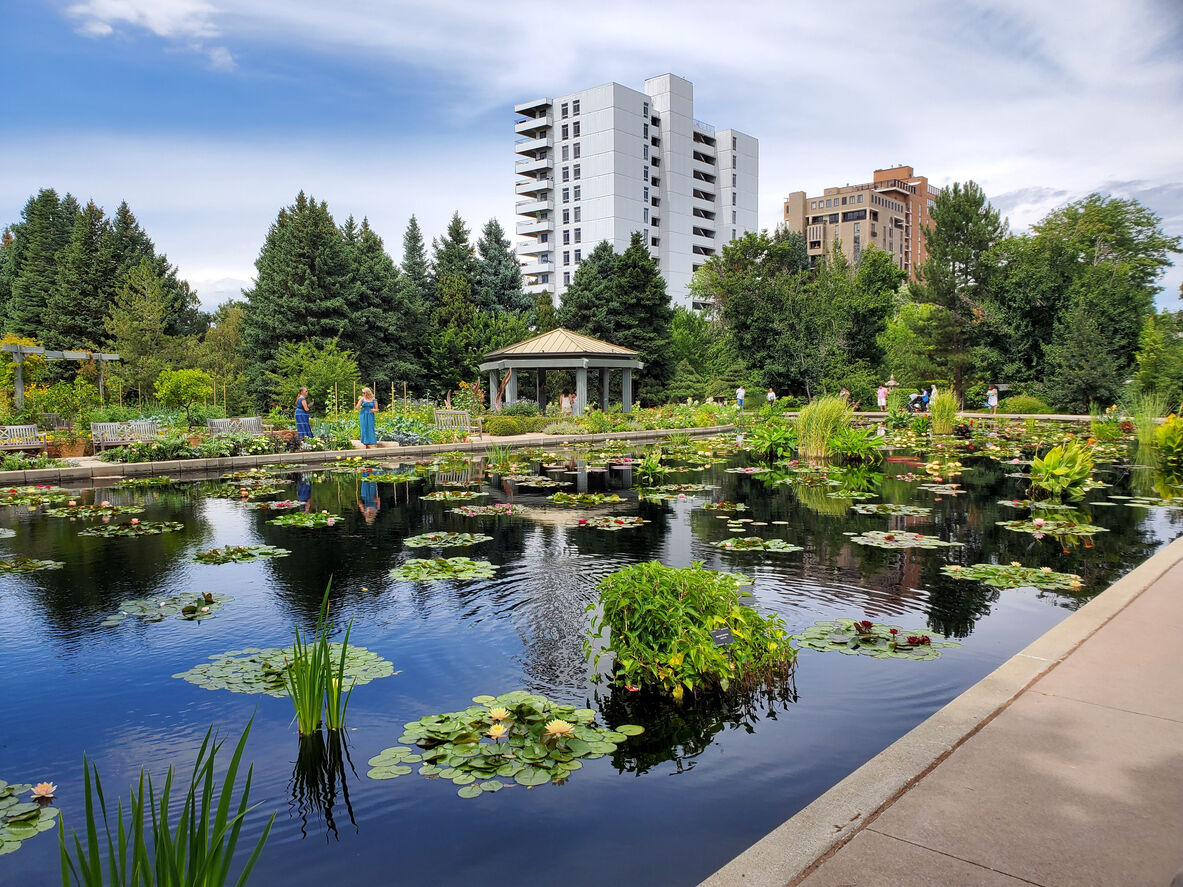 Denver museums offer free admission for Bank of America Cardholders