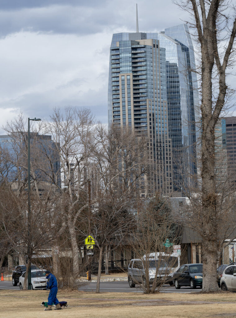 a man walking his dogs