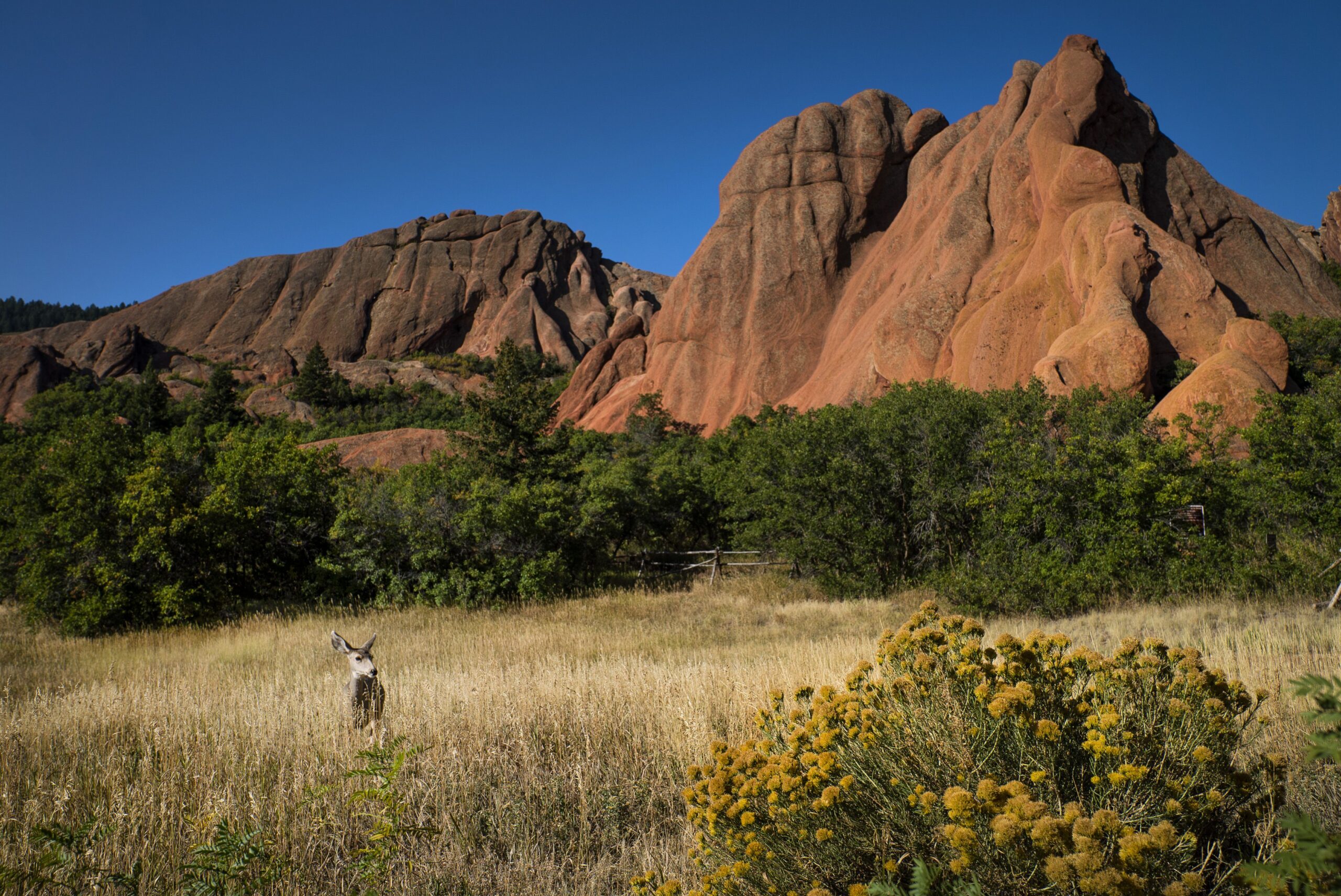 Red means go: 8 red rock destinations to visit in Colorado