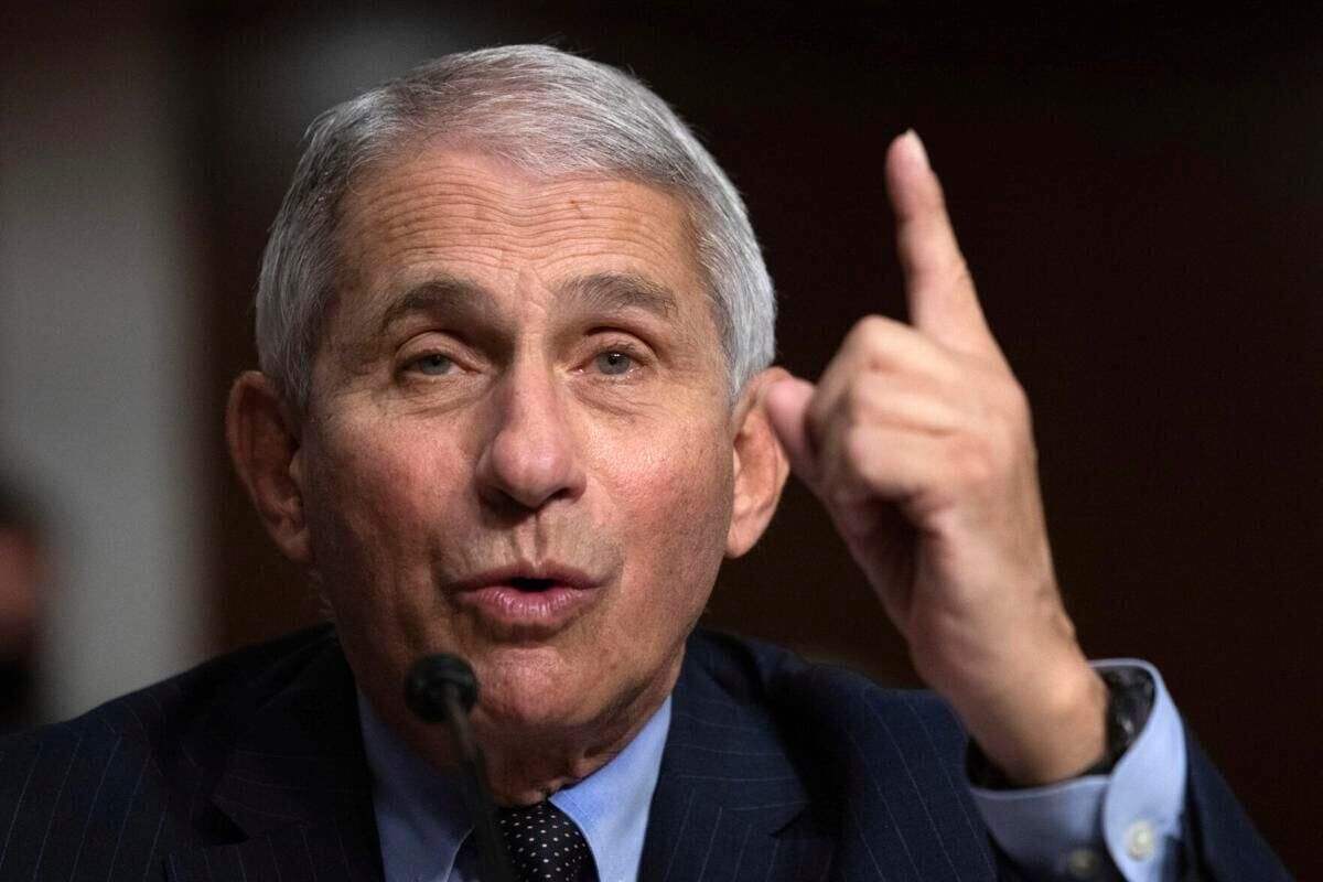 Fauci’s former senior adviser indicted on charges of concealing COVID-19 research records