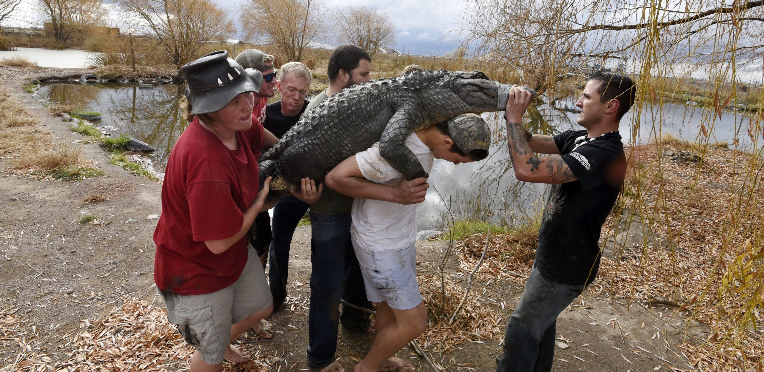 Colorado gator rescue seeks $3.1 million for ‘Jurassic’ expansion in another town