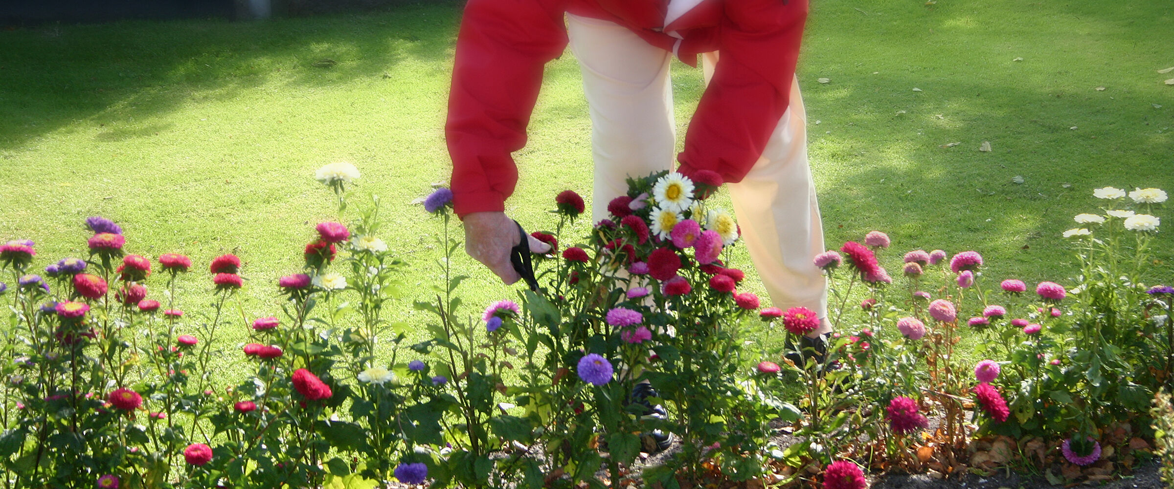 Aurora Water offers free garden water conservation classes amid drought worries, pending water restrictions