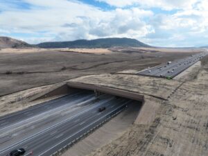 Colorado Senate passes bill for voluntary $5 fee to fund wildlife crossings