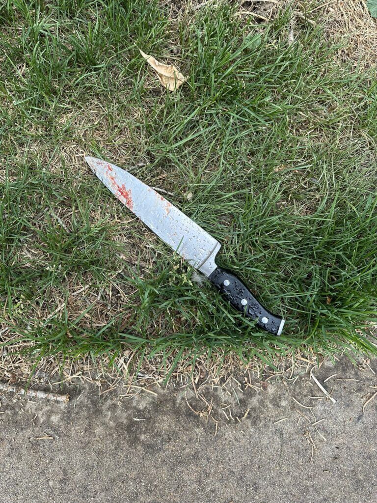 A kitchen knife with blood on the end