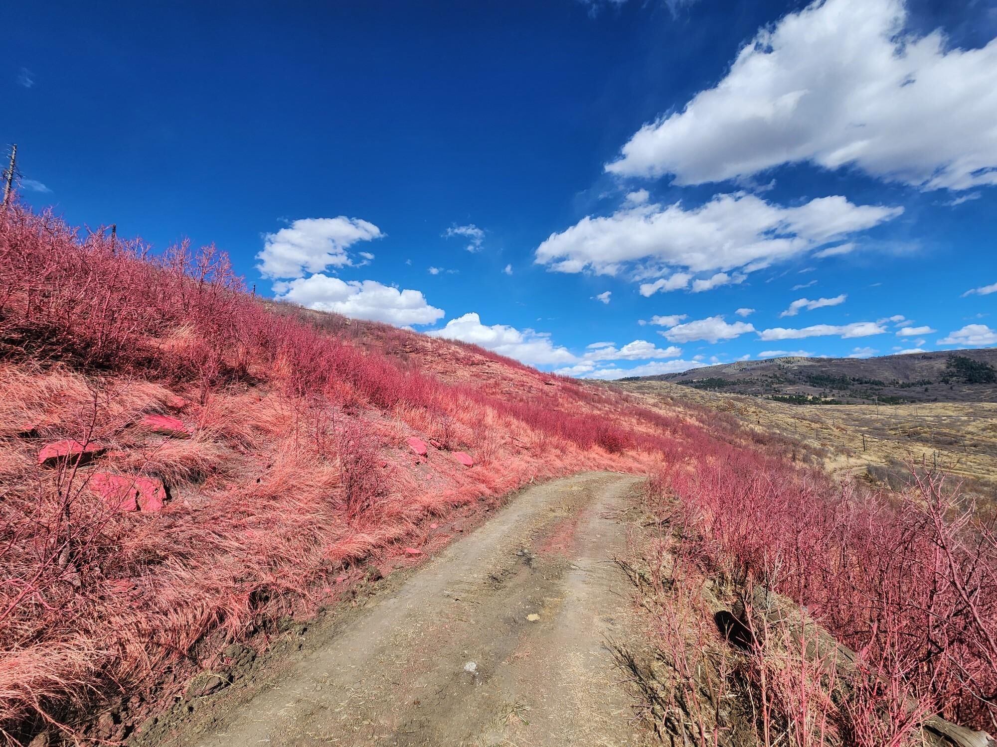 Some containment gained in fight against 1,012-acre fire burning in Colorado