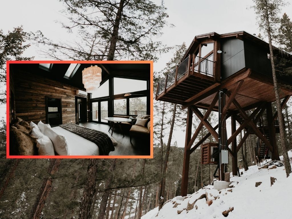 Sleep 25 feet above the forest floor in luxury Colorado treehouses