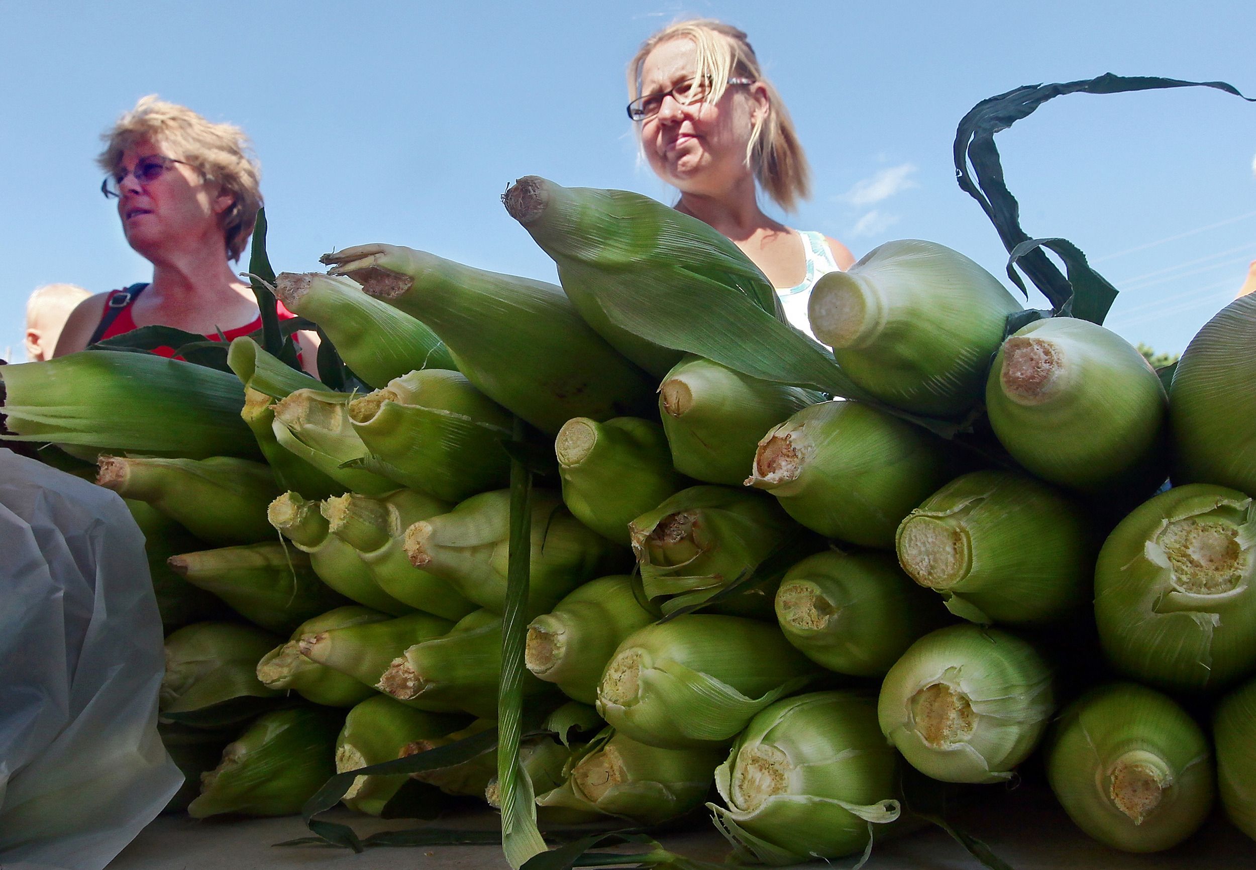News Nuggets: Farmers markets, ballots, compost and mulch